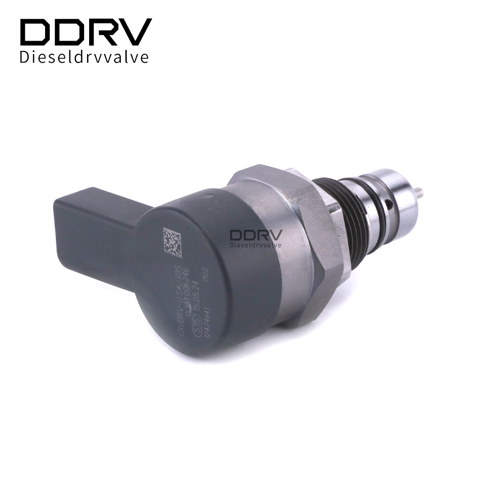 0281006246 Diesel DRV Valve Backs China-Türkiye for Deeper Strategic Partnership at “World’s Nexus