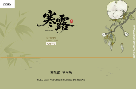 0281002872 Diesel DRV Valve Blog