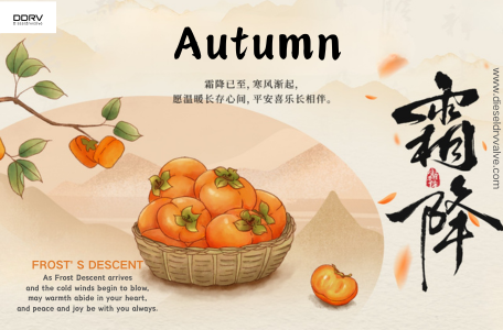 0281002872 Diesel DRV Valve Blog