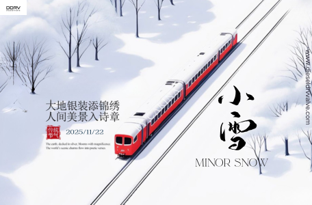 0281002872 Diesel DRV Valve Blog