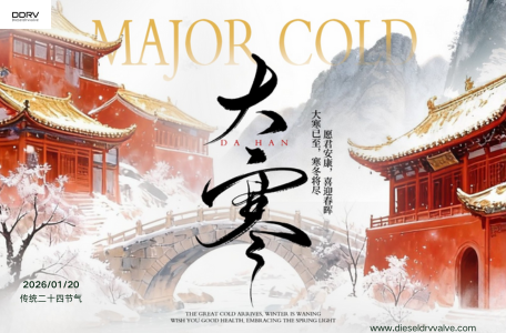 Embrace Major Cold with Assurance 0281002507 Diesel DRV Valve Secure Your Diesel Equipment